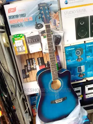 Semi Acoustic Guitar