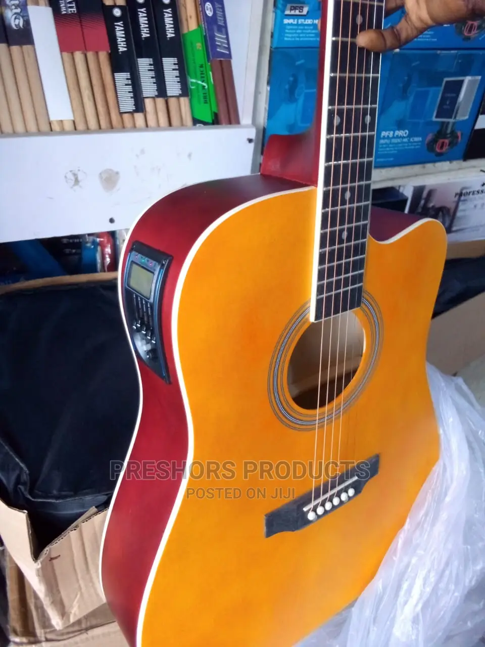 Semi Acoustic Guitar