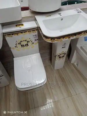 Design Executive WC Top Flush