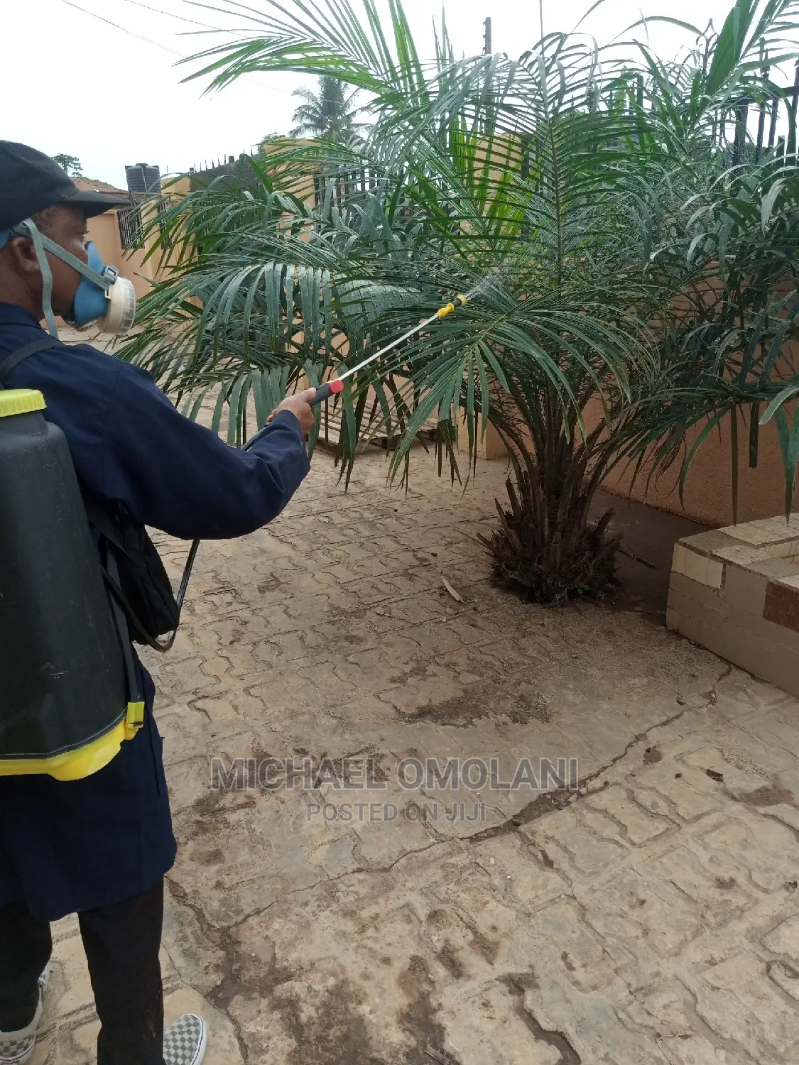 Reliable Fumigation Services