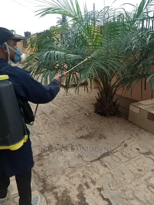 Reliable Fumigation Services