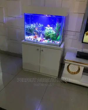 Aquarium Tank
