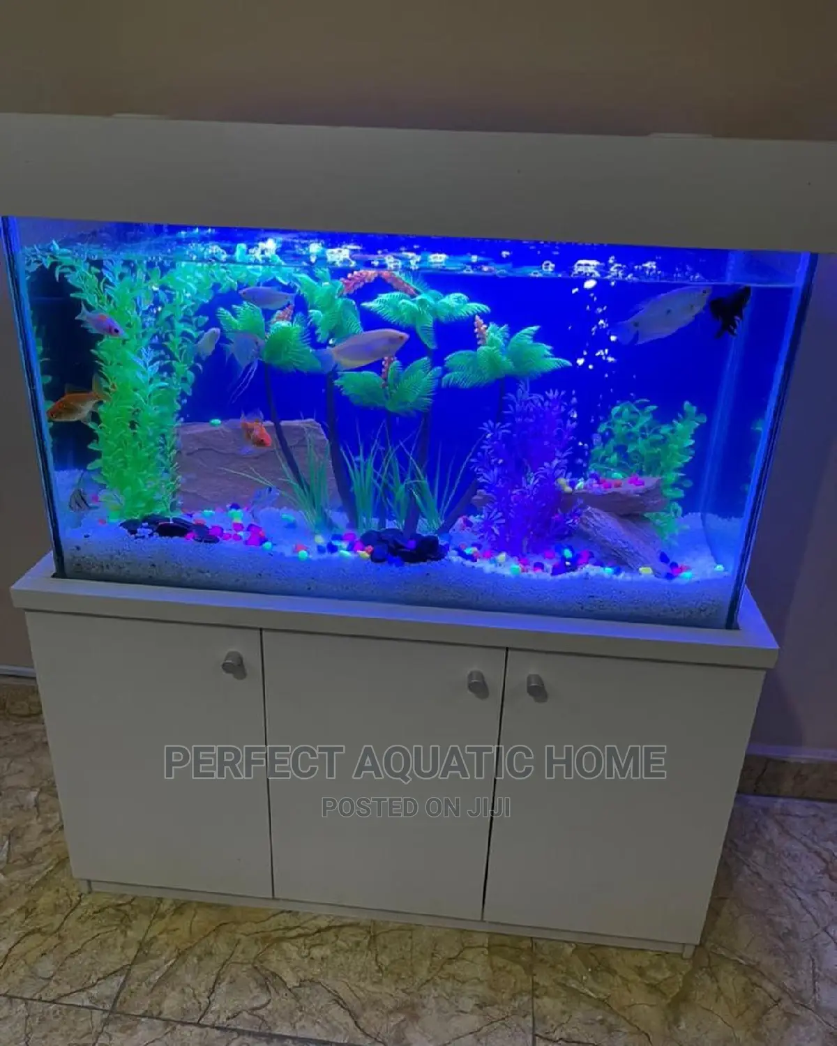 Unique Aquarium 4ft Length