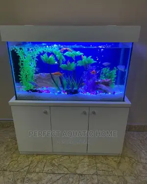 Unique Aquarium 4ft Length