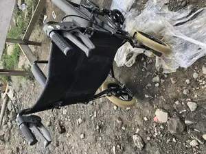 Us Pushing Wheelchair