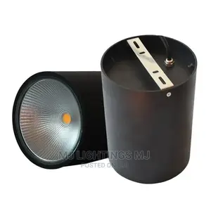 Waterproof Ip65 Surface Mounted Led Downlight Ceiling Light