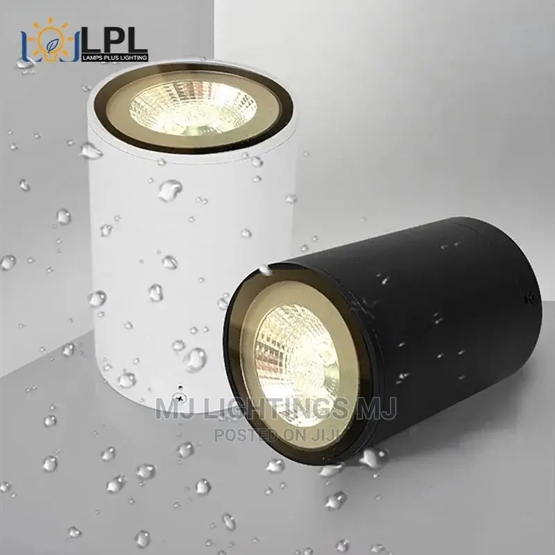 Waterproof Ip65 Surface Mounted Led Downlight Ceiling Light