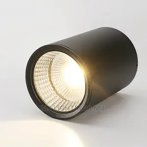 Waterproof Ip65 Surface Mounted Led Downlight Ceiling Light