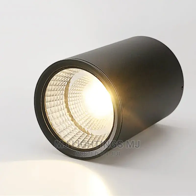 Waterproof Ip65 Surface Mounted Led Downlight Ceiling Light
