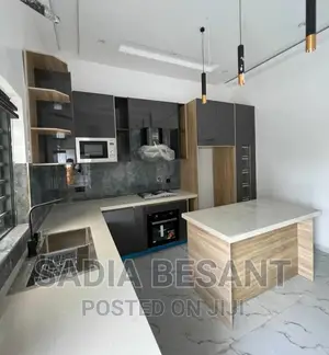 Luxury Kitchen Cabinet Design With Accessories