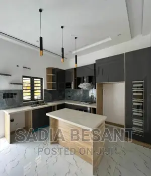 Luxury Kitchen Cabinet Design With Accessories