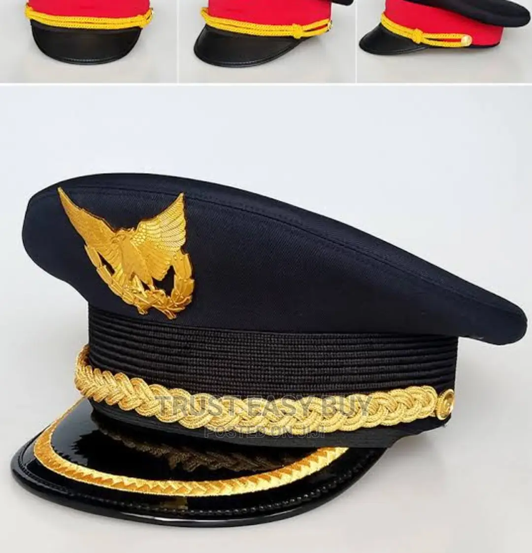Brand New Pilot Cap