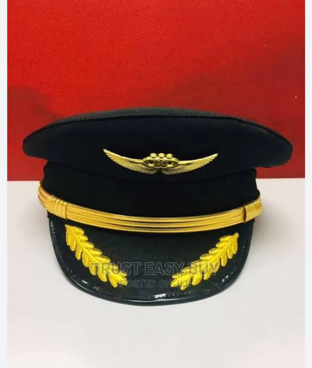 Brand New Pilot Cap