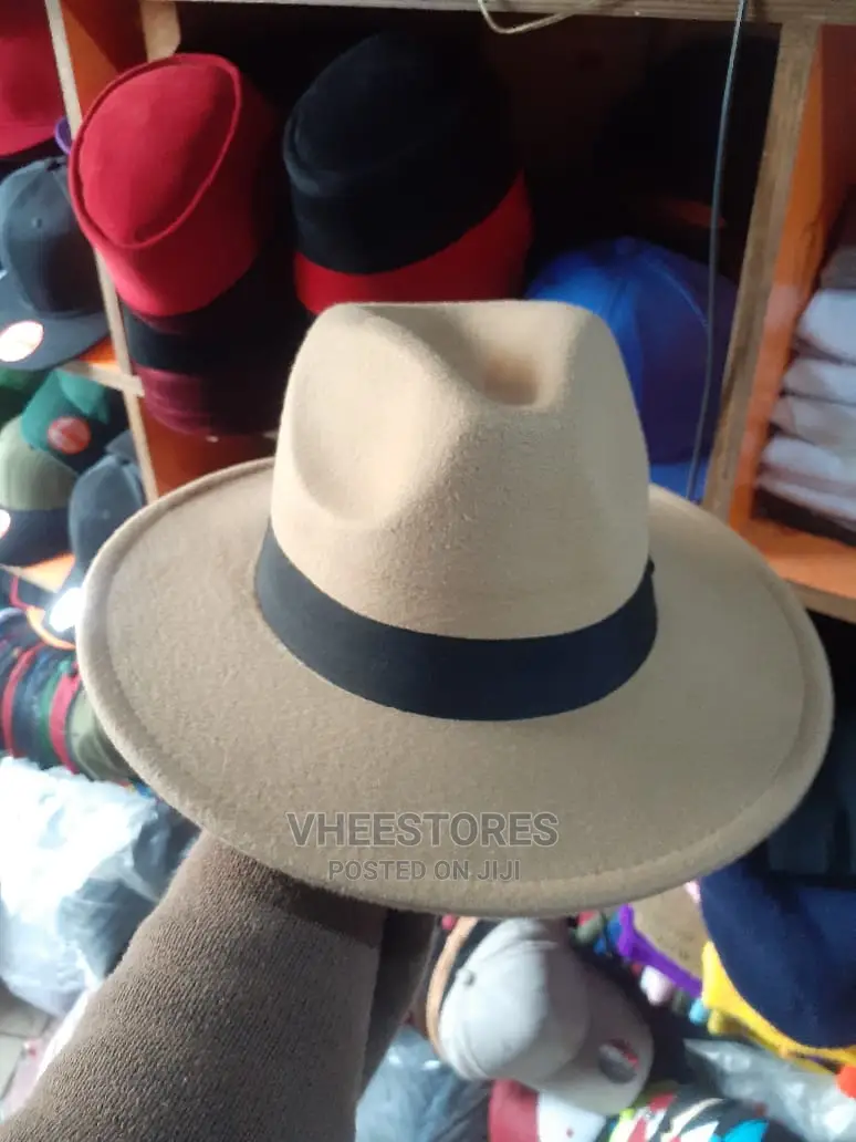 Fedora Hat or Traditional Cap or Panama Hat