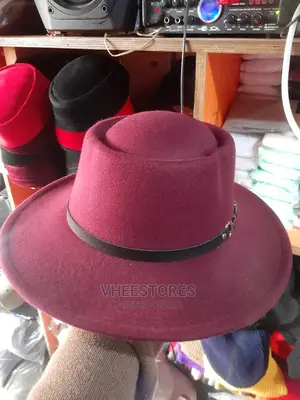 Fedora Hat or Traditional Cap or Panama Hat