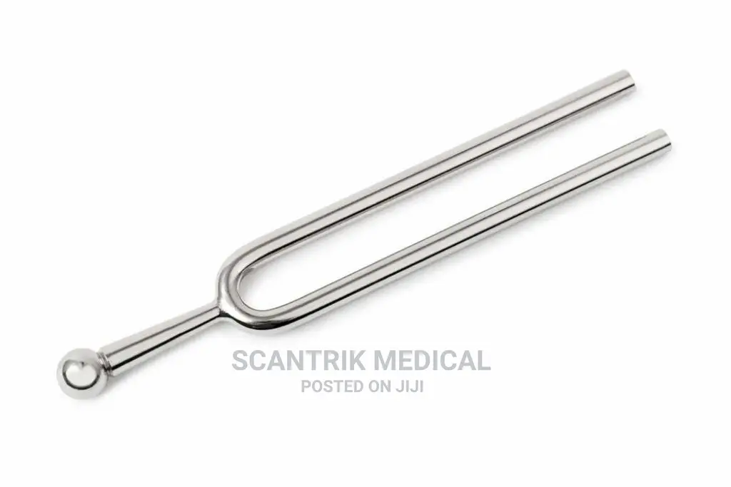 Tuning Fork -"A" 440 Hz With Soft Shell Case