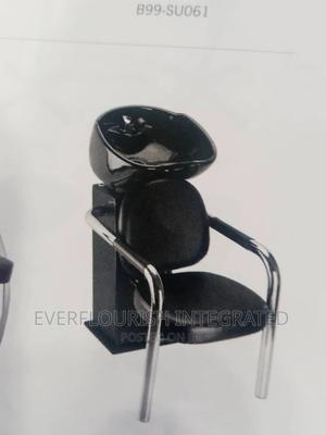 Salon Hair Wash Basin