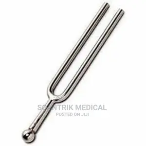 Tuner Instrument Tone Tool, Stainless Steel