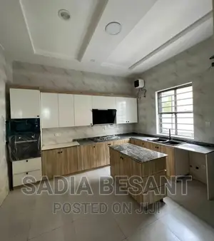 Exquisite Kitchen Cabinet Design With Accessories