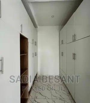 Luxury Walk-in Closet Interior Design