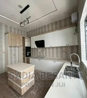 Contemporary Kitchen Cabinet Design With Accessories