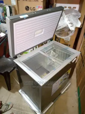 Snowsea Freezer 258l With Glass