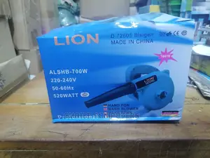 Electronic Blower And Vacuum Cleaner