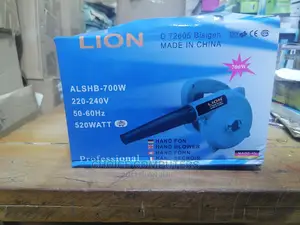 Electronic Blower And Vacuum Cleaner
