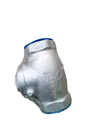 Stainless Steel Non Return Valve