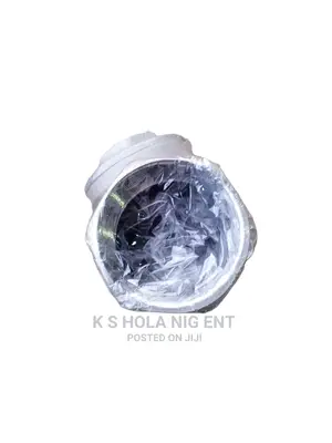 Stainless Steel Non Return Valve