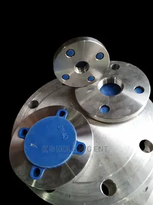 Stainless Steel Threaded Flanges