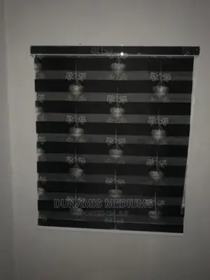 Day and Night Window Blinds