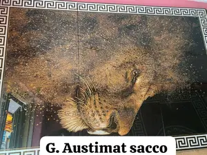 This Is Spanish Lion Face Deco, 60x120 and 60x60