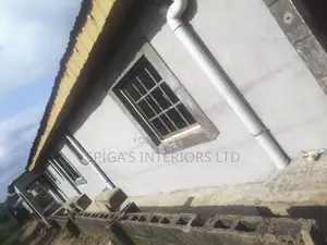 Wall Screeding