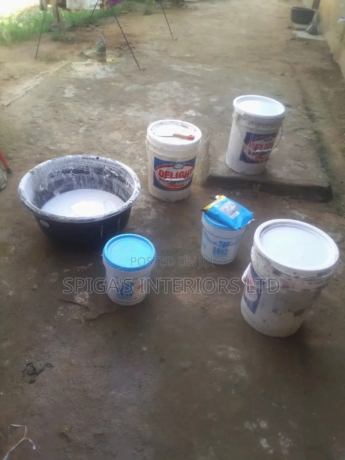 Wall Screeding