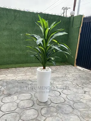Artificial Plants Sales | Single Dracaena Plants