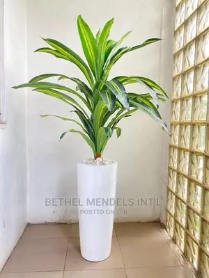 Artificial Plants Sales | Single Dracaena Plants