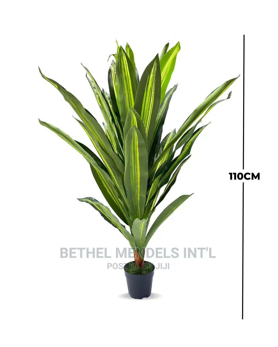 Artificial Plants Sales | Single Dracaena Plants