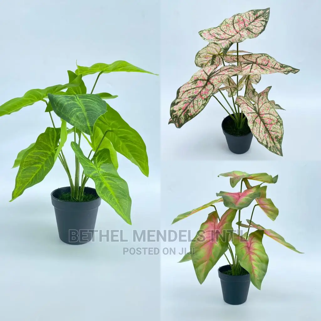 Artificial Plants | Tabletop Fake Plants Bulk Sales