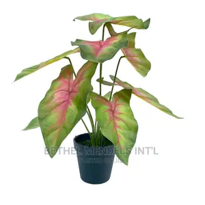 Artificial Plants | Tabletop Fake Plants Bulk Sales