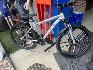 Mercedes Benz Bicycle With Rims