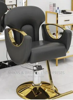 Salon Chair