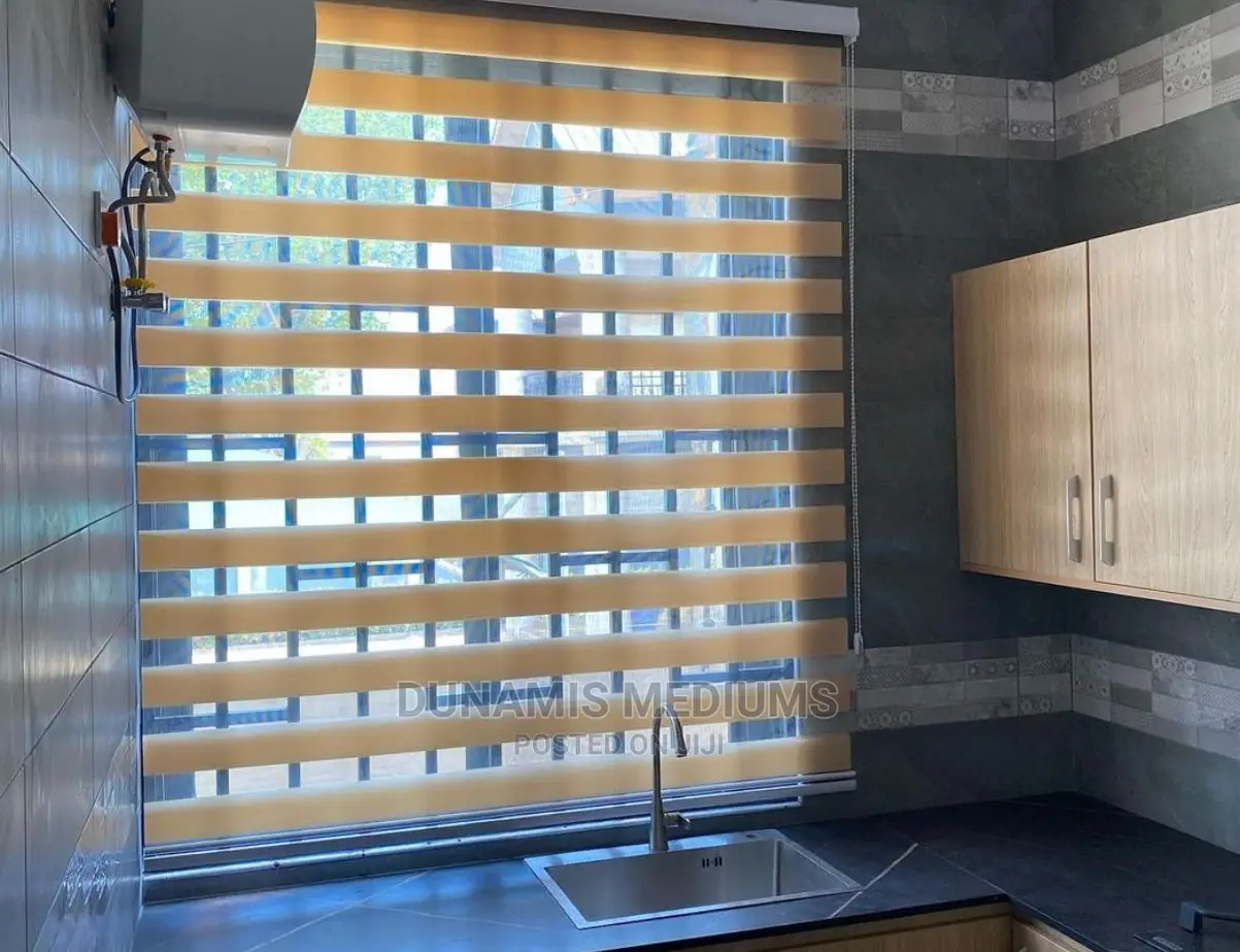 Day and Night Window Blinds
