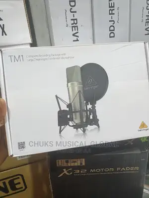 Tm1 Condenser Microphone