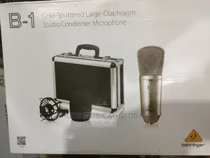 B1 Behringer Mic
