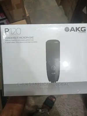 P120 Akg Mic