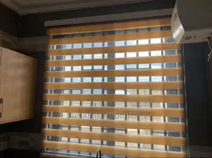 Day and Night Window Blinds.