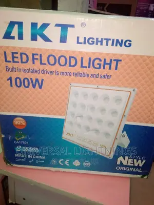Akt 100 Watts Flood Light