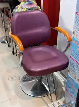Salon /Barber Chair