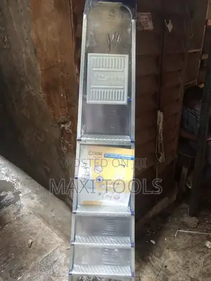 6 Step Ladder